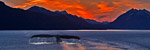 Alaska Princess Cruises